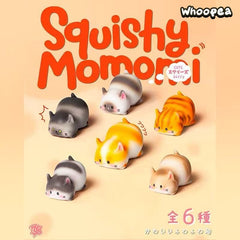 Squishy Momomi Cute Kitty Series Figures, Blind Box